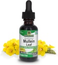 Nature's Answer Mullein Leaf | Herbal Supplement | Supports Respiratory Function & Mucous Membrans | Non-GMO & Kosher | Gluten-Free & Alkol-Free 1oz (2 Pack)