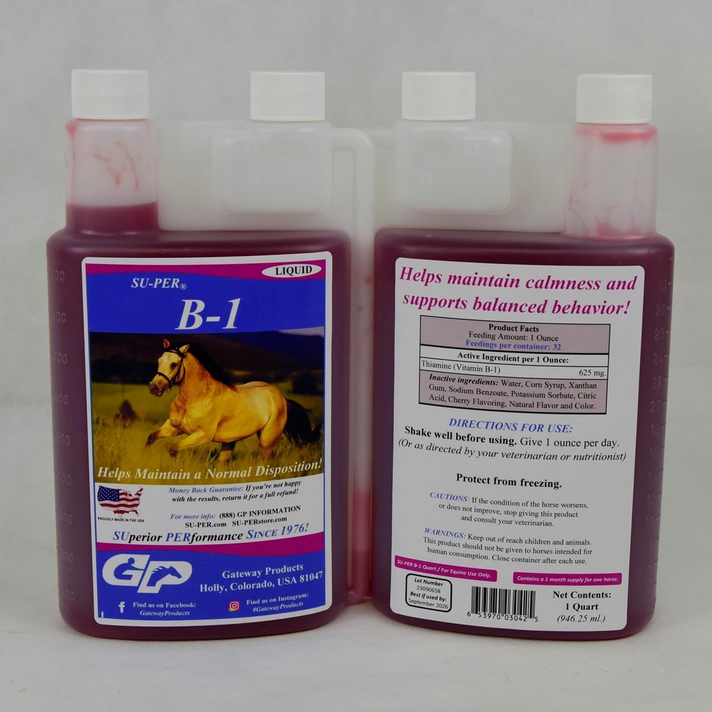 SU-PER B-1 At Calming Supplement - Equine Vitamin B-1 Support Horse Calmer Liquid - Appetite ATM Supplement for Horses - 1 Quart, (2 Pack)