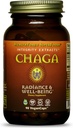 HealthForce SuperFoods Integrity Extracts Chaga - Capsules - 90 Vegan Capsules