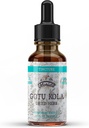 Gotu Kola Tincture, Organik Gotu Kolaksiyon, Gotu Kola Drops (Centella Asiatica) kuru Herb