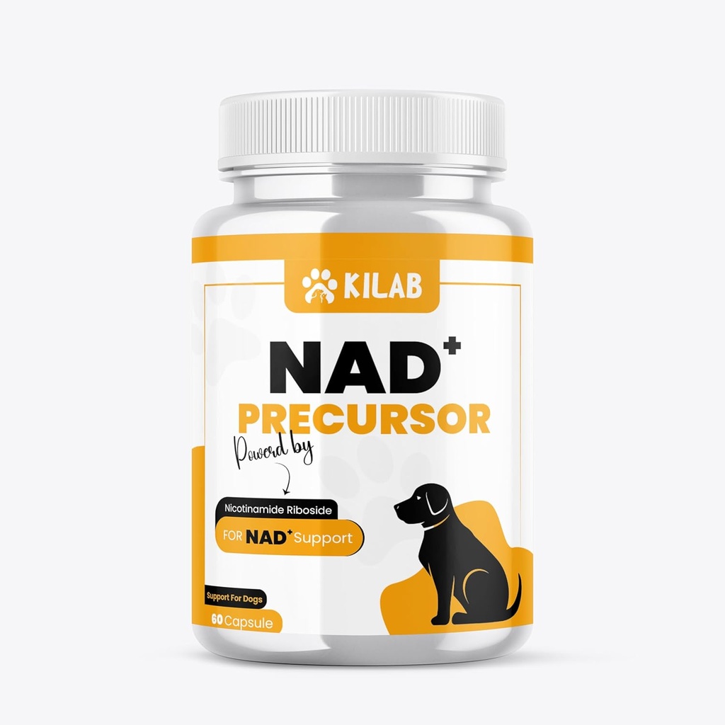 Kilab NAD+ Köpekler için Precursor Supplement - Sağlıklı Aging & Skeletal Muscle Support & Recovery - Beyin, Kalp ve Hücre Enerji Desteği - Nicotinamid Riboside Chloride - 60 Capsules