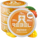 Nootropic Energy Caffeine Pouches • 100 mg Caffeine • Alfa GPC • Huperzine A & Essential Vitaminler • Sugar-Free • Coconut Fiber Teknolojisi • Mango Flavor • 15 Pouches Per Can (Pack of 4)