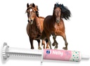 Προβιοτικά ίππων (80cc), Επικόλληση ίππων προ και προβιοτικά +Βιταμίνες & Minerals- 4 Strains και 8 Δισεκατομμύρια CFU ανά υπηρεσία- ανοσοποιητική και γαστροϋγειονομική υποστήριξη για τα ιπποειδή