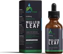 Organik Mullein Tincture Drops for Respiratory Health - Natural Lung Support, Alkol Özgür, Vegan, Non-GMO, Herbal Extract, 2 fl oz (60 ml) Doğal Uyku Yardım ve Immune Destek