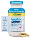HEAL-N-SOOTHE Proteolytic Systemic Enzymes – Joint Supplement with Bromelain, Papain, Boswellia – Joint Mobility, Muscle Flexibility, Protein Digestion, Circulatory & Immune Health - 60 Count (1 Pack)