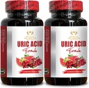 URIC Acid Support - Επαναφορά κοινής άνεσης, κινητικότητας, ευελιξίας, περιλαμβάνει ταρτάρ Cherry, Chanca Piedra, εκχύλισμα σέλινου & κουρκουμά - 2 μπουκάλια 120 κάψουλες