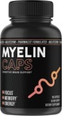 Myelin Caps, Brain Health Supplement, Focus Supplement & Brain Health with AlfaSize, Memory and Cognitive Function Support, Gluten-Free, Non-GMO (90 Capsules)