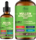 4-in-1 Mullein Drops for Lungs, Organic Mullein Leaf & Honeysuckle & Eucalyptus Leaf & Echinacea Extracts, for Lung Cleanse, Immune & Respiratory Support, Sugar-Free | Non-GMO | Vegan, 2 Fl oz