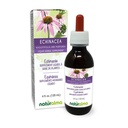 Naturalma Echinacea (Echinacea angustifolia ve purpurea) Root and herb Alkol Özgür Tincture - 4 fl oz Sıvı Ekstraksiyon - Herbal Supplement - Vegan