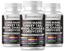 Lions Mane Supplement Cognitive Support, Immune Health with Turkey Tail 20in1 Mushroom Reishi Cordyceps Chaga with Marshm Root - Count180