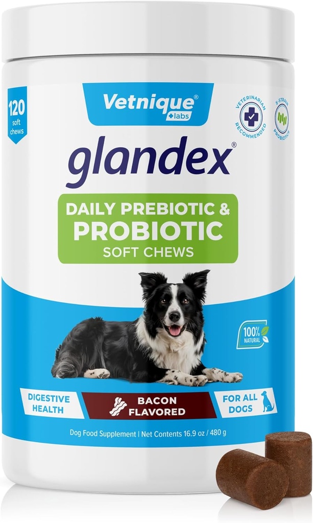 Vetnique Glandex καθημερινά προβιοτικά για σκύλους με πρεβιοτικά για την υποστήριξη της υγείας των ούλων με ένζυμα Fiber και Digestive, προβιοτικά μάσημα ή σκόνες (120ct Chews, Bacon Chews)