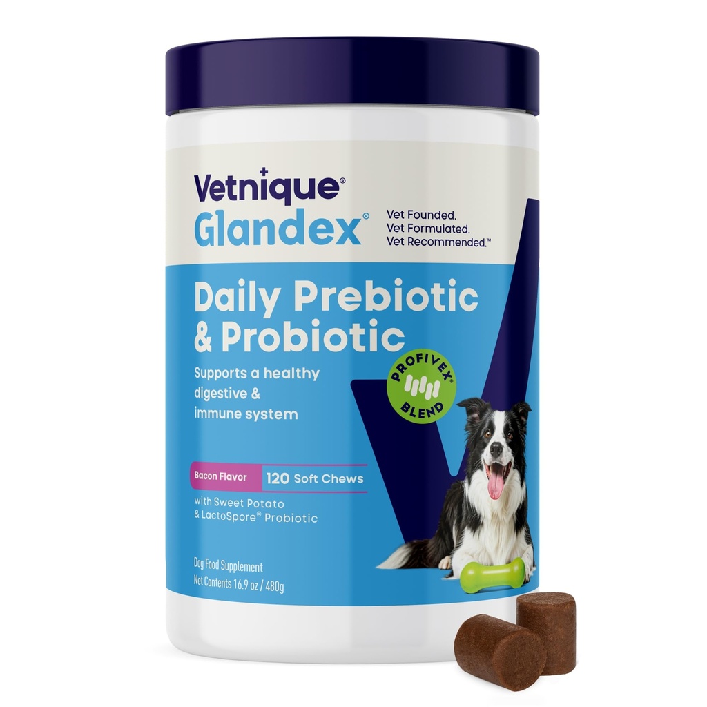 Vetnique Glandex Daily Probiyotiks for Dogs with Prebiyotiks to Support Gut Health with Fiber and Digestive Enzymes, Probiyotik Chews or Tozs (120ct Chews, Bacon Chews)