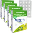 Boiron AlerjiCalm Tabletleri 240 Kont, Allergies ve Hay Ateş Sneezing, Runny Nose, Itchy Eyes, Throat, Alerji Calm Tabs (Formerly RhinAllergy) (Pazarda 4 60