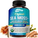 NutriFlair Organik Deniz Moss 1600 mg, 120 Capsules Plus Bladderwrack & Burdock - Prebiyotik Super Food - Immune System & Digestive Health - Yourroid, Sağlıklı Skin, Keto Detox, Gut