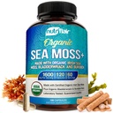 NutriFlair Organik Deniz Moss 1600 mg, 120 Capsules Plus Bladderwrack & Burdock - Prebiyotik Super Food - Immune System & Digestive Health - Yourroid, Sağlıklı Skin, Keto Detox, Gut