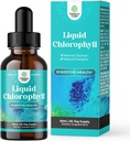 Vegan Sıvı Klorophyll Drops - Super Tempd Mint Flavored Chlorophyll Liquid Drops - İç Temiz Digestive Support Immune Health and Whole Body Detox and Cleanse Support (60 Hizmet)