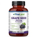 FineLand Grape Seed Extract 50:1 – 25.000mg Ισοδύναμο ανά καψάκιο – 120 Vegan Κάψουλες – Πλούσιο σε Αντιοξειδωτικά 