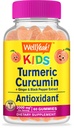 WellEvet Turmeric Curcumin with Black Pepper Gummies for Kids - Natural Immune Support, Joint and Muscle Health, Digestive Health, and Brain Function - Non-GMO, Vegan, Gluten-Free - 60 Count