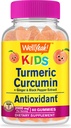 WellEvet Turmeric Curcumin with Black Pepper Gummies for Kids - Natural Immune Support, Joint and Muscle Health, Digestive Health, and Brain Function - Non-GMO, Vegan, Gluten-Free - 60 Count