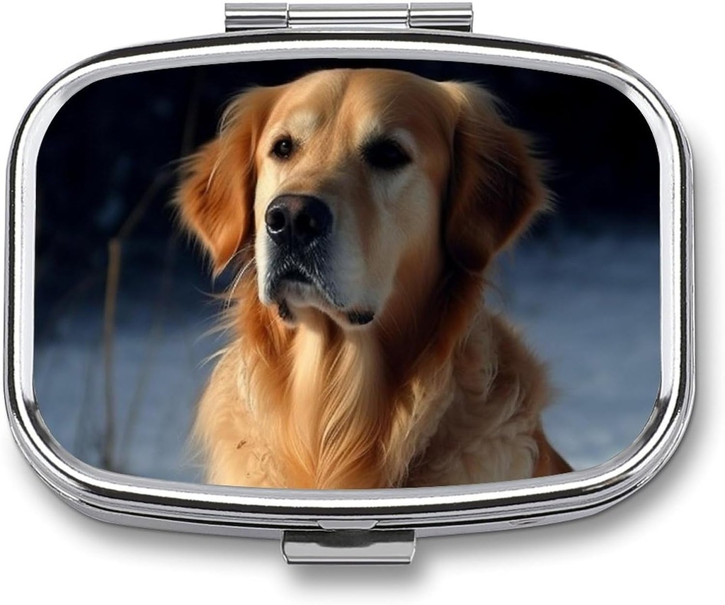 Golden Accessr Pill Box 2 Karşılaştırmalı Portreatif Pill Case Daily Square Pill Organizer For Pocket Purse Günlük Tıp Konteyneri Vitaminler Balık Petrol Seyahat Hediyeleri Tutmak için Organize Edilecek