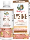 Vegan Lysine Supplement MaryRuth's | Ultra Abvitamin | Lysine 500 mg | Collagen Formation Support | Immune Support Supplement | Health & Wellness | Non GMO | Gluten Free | 30 Hizmet