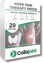 Diz Pain Relief Patch - Collagen & Glucosamine - Low Odor, 20 Kont