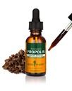 Herb Pharm Propolis Liquid Herbal Extract: Propolis Immune Support | Honeybee Propolis for Wellness | Herbal Liquid Extract for Immunity | Bee Propolis Tincture | Sugar-Free, Gluten-Free, 1 oz*
