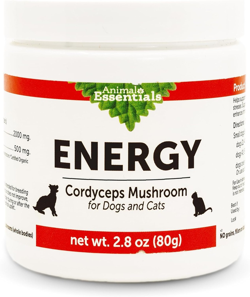Animal Essentials Energy Cordyceps Mushroom Supplement for Dogs & Cats - Υποστήριξη Σταμίνα & Αντοχή, Υγιεινές λειτουργίες αναπνευστικού & νεφρού, Αντιοξειδωτικό, Mushroom Powder Extract - 2.8 Oz (πακέτο του 1)