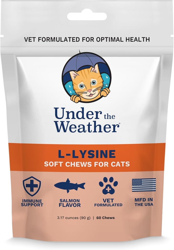 Hava Altında Pet Daily Cat L-Lysine | Boost Immune System Reduce Respiratory Belirtileri | Normal Immune System Response | 60 Yıldız Şekilli Yumuşak Chews