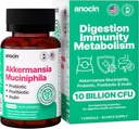 Akkermansia Muciniphila + Probiyotik, Postbiyotik & Inulin - Digestion için Gut Health Supplement - 10 Milyar CFU, Vegan & Gluten-Free