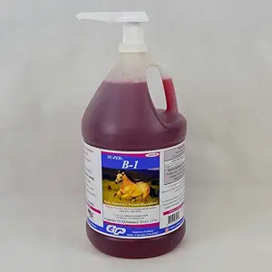 SU-PER B-1 At Calming Supplement - Equine Vitamin B-1 Support Horse Calmer Liquid - Appetite ATM Supplement for Horses - 1 Gallon + Pump, 4 Moon Supply