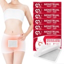 Menstrual Patches, Heat Patches for Menstrual Cramps, Portreatif Dönem Cramps Heat Therapy Patches - 6 Pack Hot Compress Warm, Travel Essentials for Women