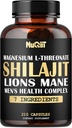 Μαγνήσιο με Lions Mane, Shilajit κάψουλες, και ανδρικό σύμπλεγμα υγείας ως Ashwagandha, Maca Root & More - 210 κάψουλες