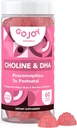 Προγεννητική Choline & DHA Gummies - Προκατάληψη του μεταγεννητικού Gummy Vitamin Supplement για έγκυες γυναίκες - Γλυκασμένα με Monk Fruit - 3ο Party Tested - Μη ΓΤΟ, Χωρίς γλουτένη, Vegan