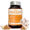 Stomach Plus,Gastric Lining Integrity, Ulcer & Gastritis Relief, Stomachache,Gastric Upset, Motility Support, with Galangal, Dong Quai, Cinnamon & Magnolia - 45 Capsules