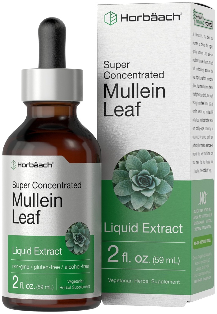 Horbäach Mullein Leaf Extract Drops | 2 fl oz | Alkol Free Liquid Tincture | Vegetarian, Non-GMO & Gluten Free Herbal Supplement