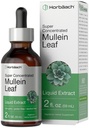 Horbäach Mullein Leaf Extract Drops | 2 fl oz | Alkol Free Liquid Tincture | Vegetarian, Non-GMO & Gluten Free Herbal Supplement