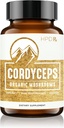 HPD Rx Premium Organik Cordyceps Enerji, Endurance ve Immunity | 2250 mg, 120 Capsules, 1 Paket