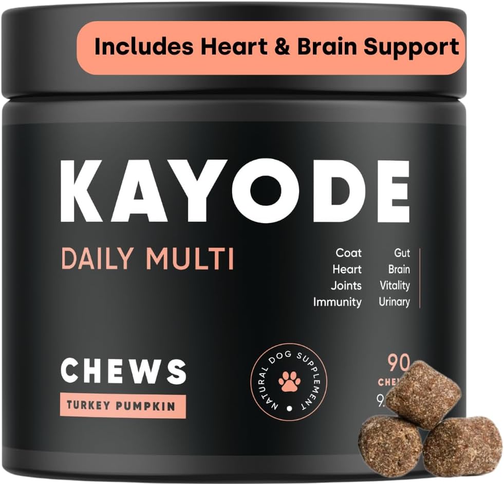 Kayode Daily Multi - Dog Multivitamin & Superfood Chew. Fill Nutrient Gaps. Helps Commons, Digestion, Heart, Brain, Urinary & More. Nutrients Dog Food Misses ekleyin. Puppies için harika.