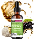 Collagen Mojo - Kadınlar ve Erkekler için sıvı Collagens, Lion's Mane Mushroom, Elderberry & L-Theanine - Saç, Skin, Nails, Ortak Destek, Focus, High Abors - 100.000