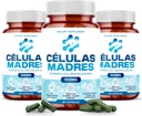 Συμπληρώματα βλαστικών κυττάρων 500mg (180 Cap) Φυσική υποστήριξη κατά της γήρανσης & μακροζωίας με Spirulina & Chlorella, ενίσχυση της κυτταρικής ανανέωσης, αποκατάσταση της νεανικής ενέργειας, μείωση της κοινής πληγής – Celulas Madre