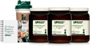 Standard Process SP Detox Balance Kit, 28-Day Program - Detox Cleanse with Pea Protein, Iron, Magnesium & Choline - Vegan, Non-Dairy & Gluten-Free (3 Pack)