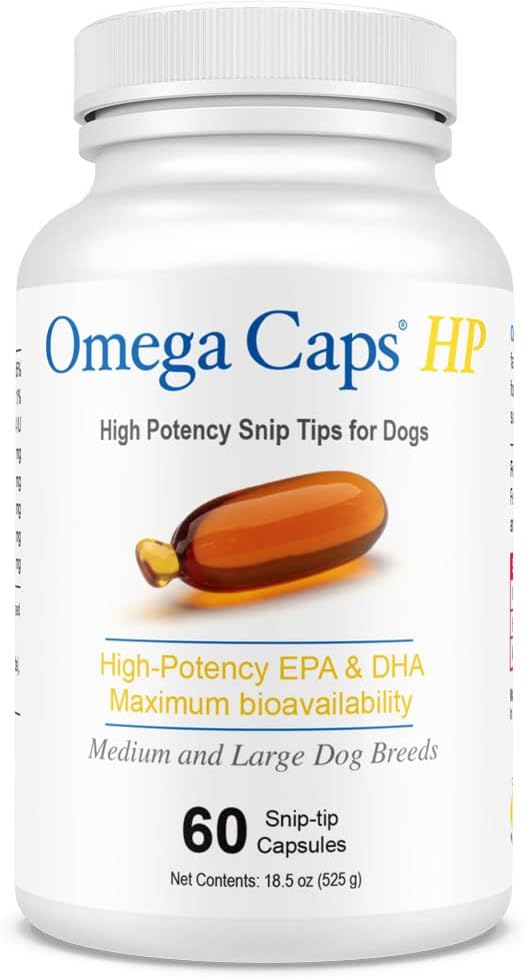 Omega Caps HP, Orta ve Büyük Köpekler için ipuçları Yüksek Potency EPA ve DHA Maksimum Biyoyasal Balık Yağı Tamam Vet Formulated ABD Skin Coat Joint and Heart Health 60 Capsules