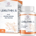 Urolithin A Supplement 1500MG Plus Brown Rice Protein, Egzersiz Performansı ve Mitochondrial Desteği için, Gluten Free, 60 Capsules