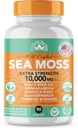 İrlandalı Deniz Moss 3,500 mg, Black Seed Oil 2.000mg, Bladderwrack 1000 mg, Burdock Root | Wildcrafted Irish Seamoss | Immunity Supplement | Sea Moss with Burdock Root | 90 Count