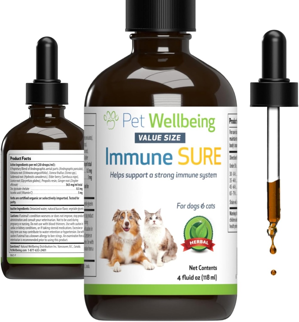 Pet Wellbeing Immune Sure for Dogs - Υποστηρίζει τις φυσιολογικές ανοσοποιητικές άμυνες, Υπόλοιπο Χλωρίδας, Ανδρογραφίδα, εχινάκεια, Βιταμίνη C, Ψευδάργυρος - Κτηνιατρικό-Σχηματισμένο συμπλήρωμα βοτάνων 4 oz (118 ml)