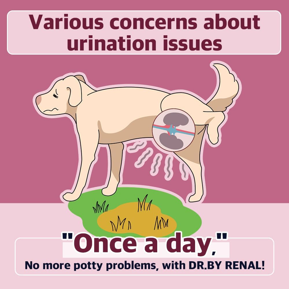 Dr.by Renal Kidney Bladder Urethra Nutritional Supplement for Dogs and Puppy - Sweet Potato Flavored Dog Supplement for Dog UTI, 30 Count Individually Packaged (Pack of 1)