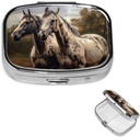 Pill Case Pill Box with Mirror Small Pill Organizer 2 Karşılaştırmalı Bir At Seyahat Pillbox For Purse or Pocket Portable Pill Konteyner Cute Medicine Organizer