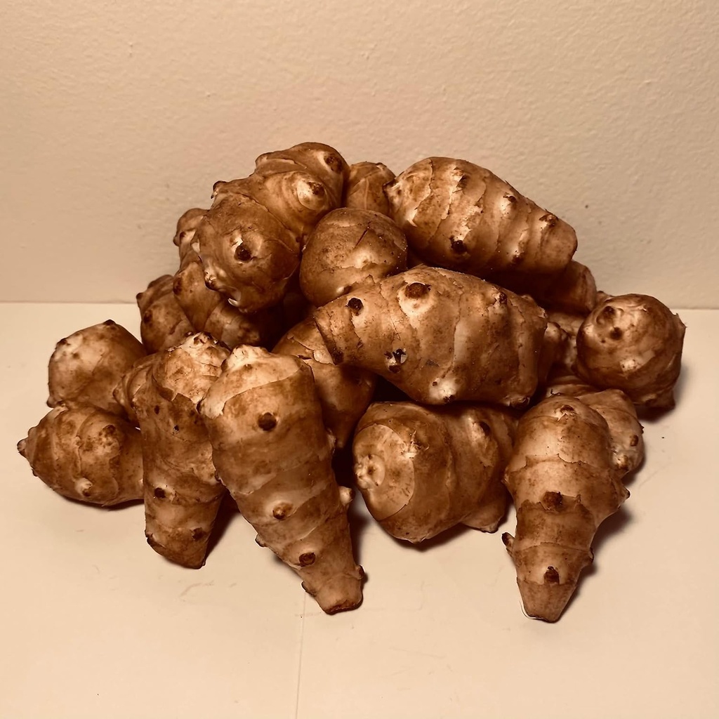 Sunchokes Adama Gıdaları - Bitki veya Yemek için 2 1/2 kilo (2.5 lbs)
