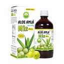 Temel Ayurveda Aloe Amla Mix Juice | Aloe Vera & Amla Fruit | First Press Virgin Juice | Plant-Based Daily Drink | Vegan & Non-GMO | 32.46 Fl Oz (960 ml)